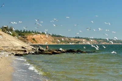 Участок у моря 15 соток -Очаков- Черноморская коса , возле а