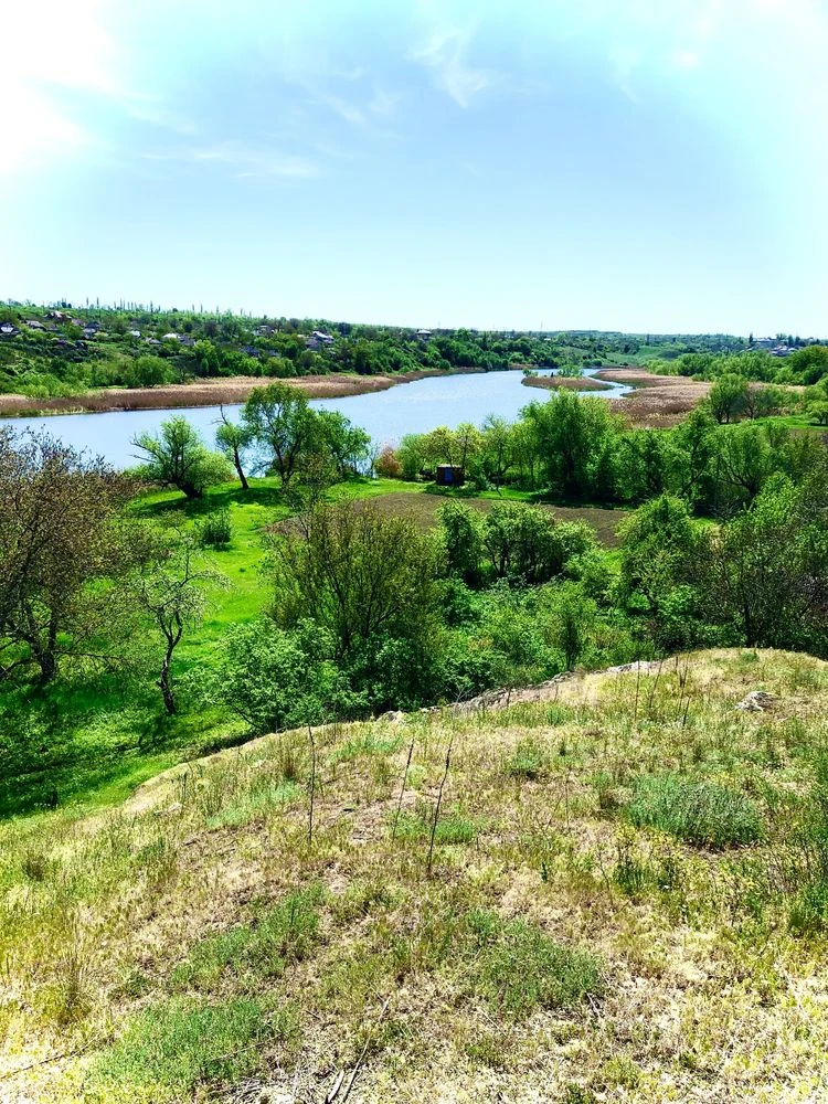 Ділянка для розміщення пасіки