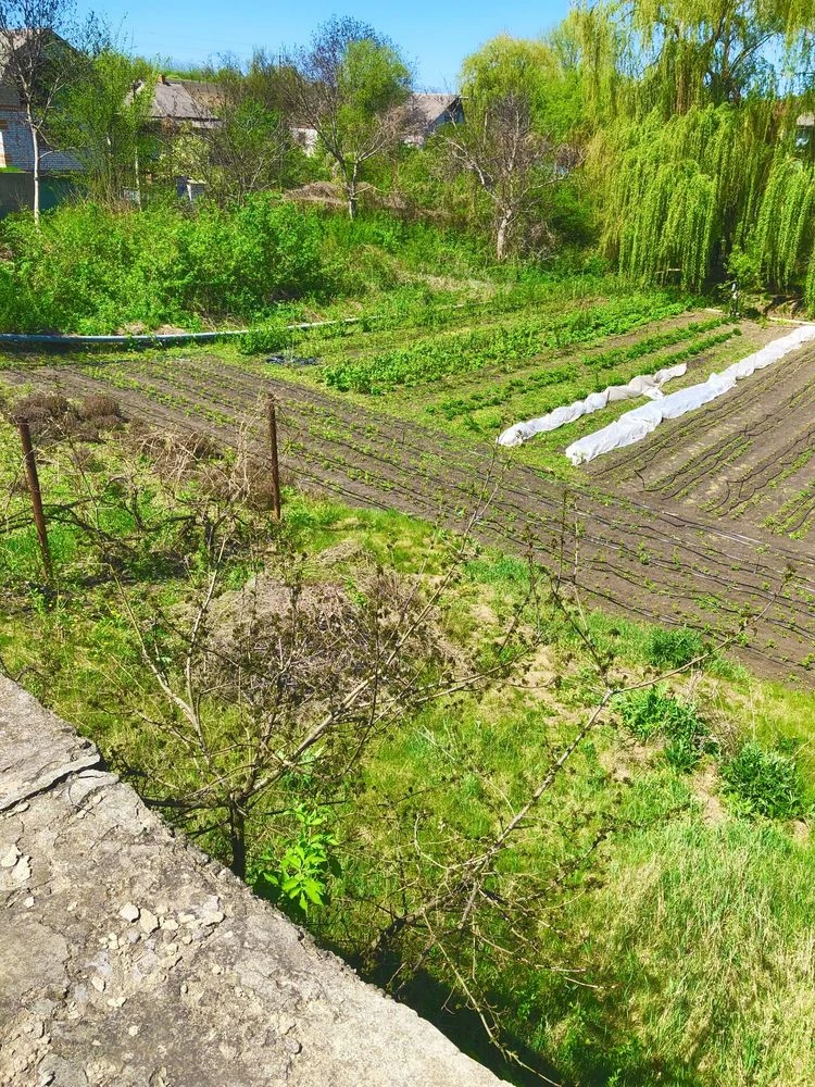 Ділянка для розміщення пасіки