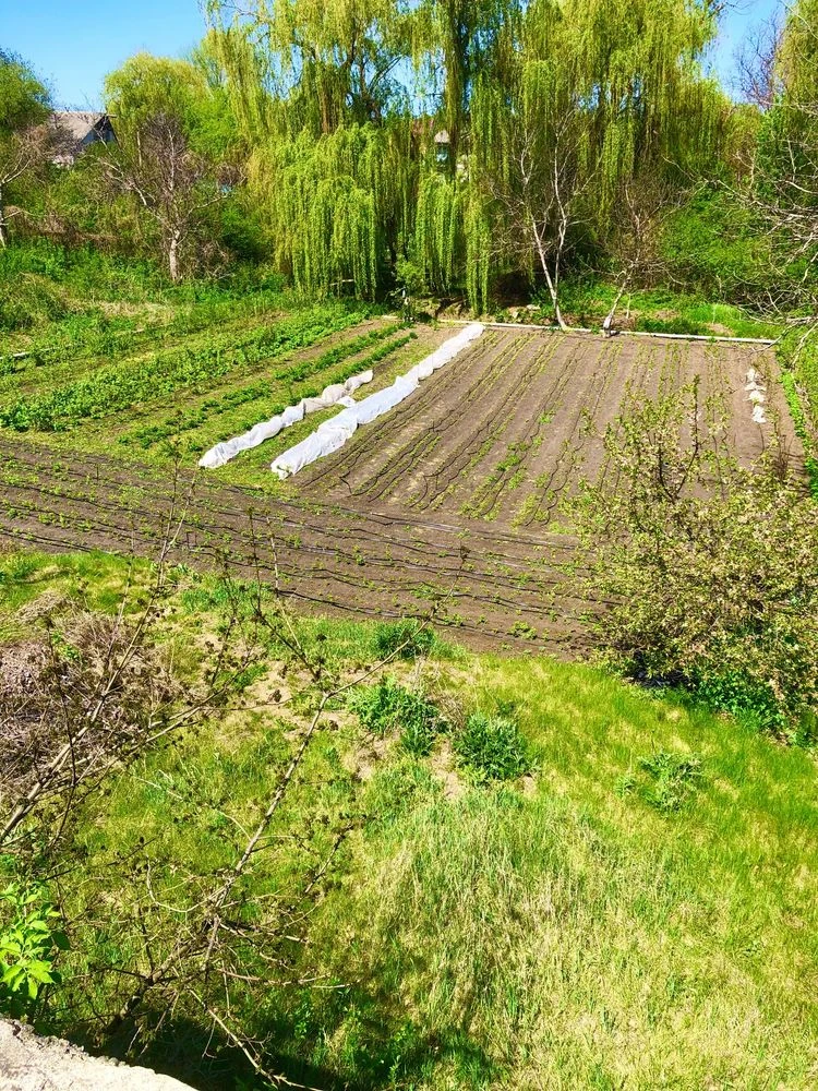 Ділянка для розміщення пасіки
