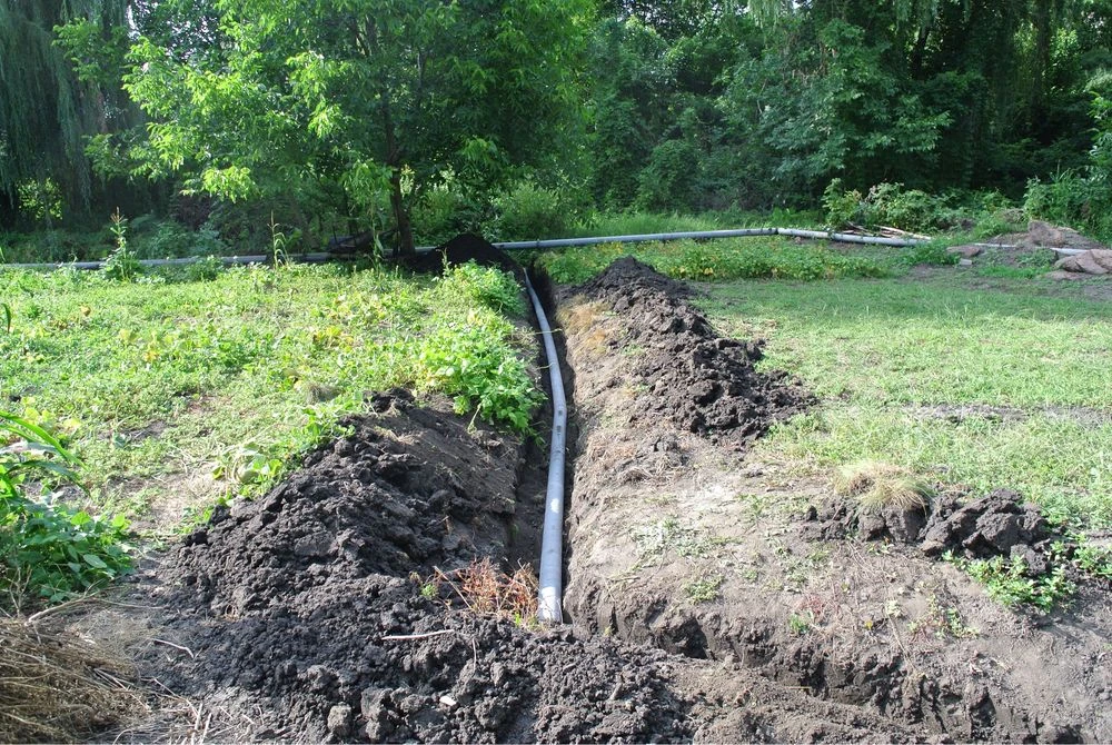 Ділянка для розміщення пасіки
