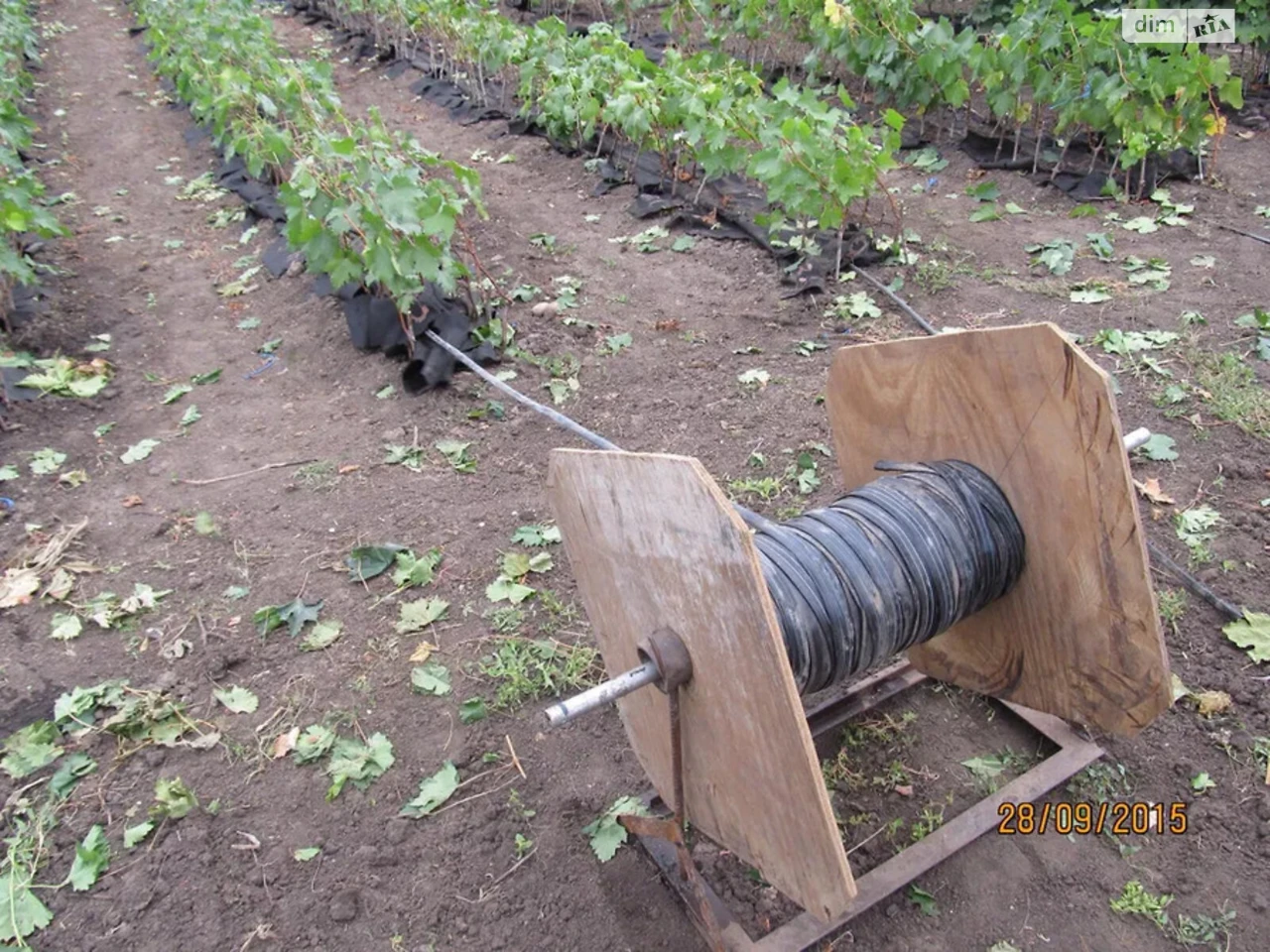 Продаж Земля сільськогосподарського призначення