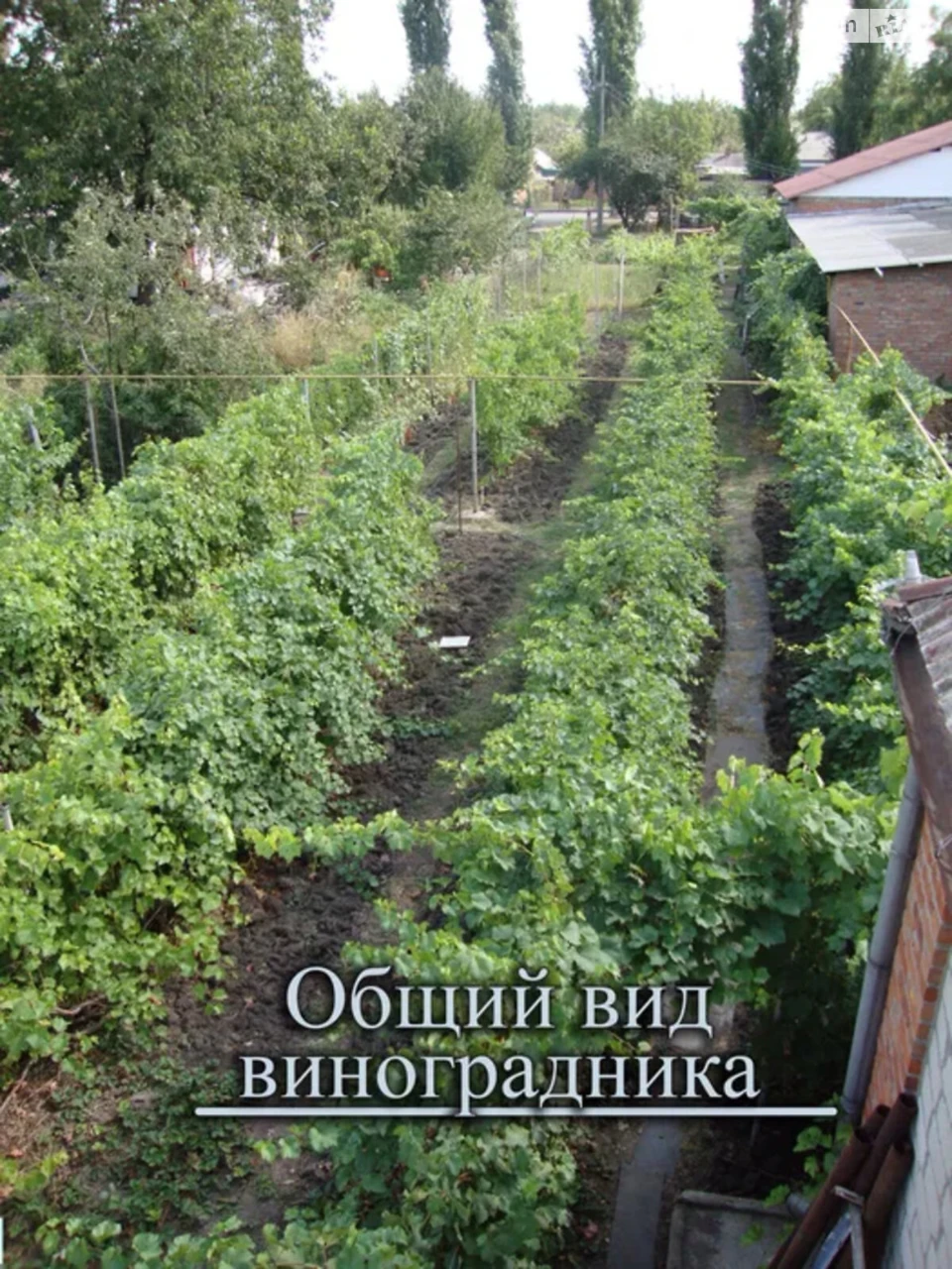 Продаж Земля сільськогосподарського призначення