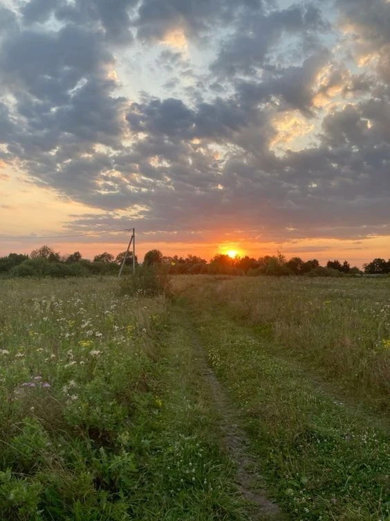 Продам земельну ділянку