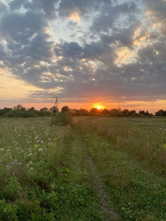 Продам земельну ділянку