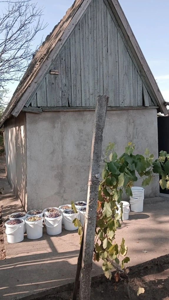 Приватизований участок у садовому товаристві