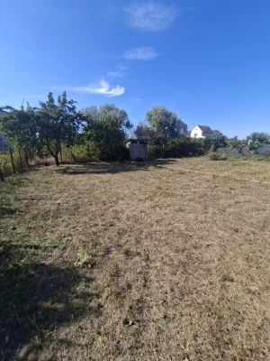 Продам земельну ділянку в СОГ" Хвиля"