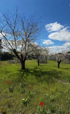 Продам ділянку біля моря. Гаряча ціна!