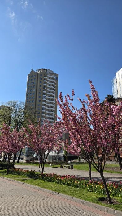 ЖК Магнат,Центр.Бартоломео ,Панорама Самый лучший вид на флаг