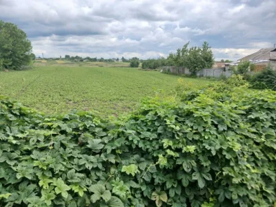 Продам велику земельну ділянку в Глобине