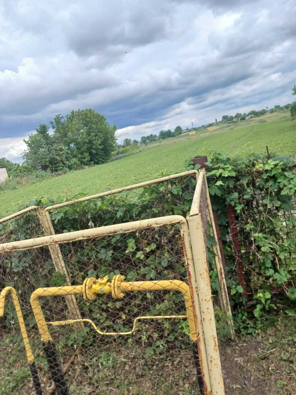 Продам велику земельну ділянку в Глобине
