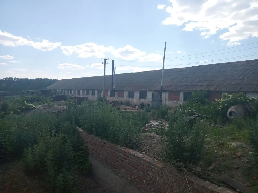 Продам ферму з ділянкою 3.8 га