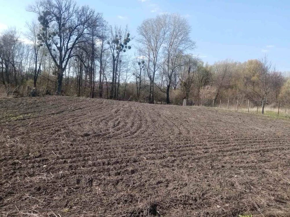 Продам дільницю у місті Зіньків, полтавська область