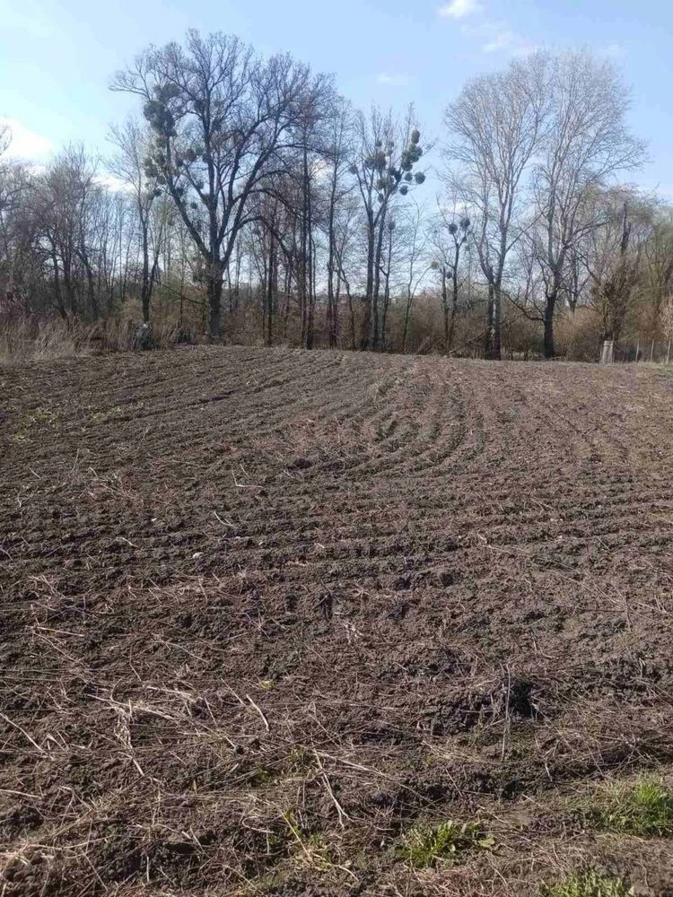 Продам дільницю у місті Зіньків, полтавська область