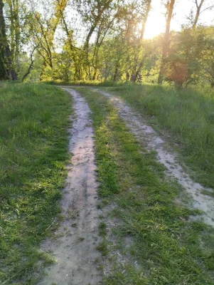 Земельна ділянка біля річки Ворскла