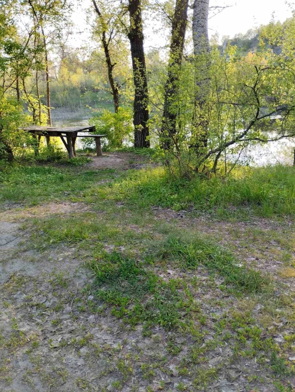 Земельна ділянка біля річки Ворскла
