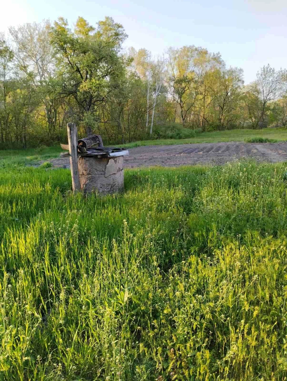 Земельна ділянка біля річки Ворскла