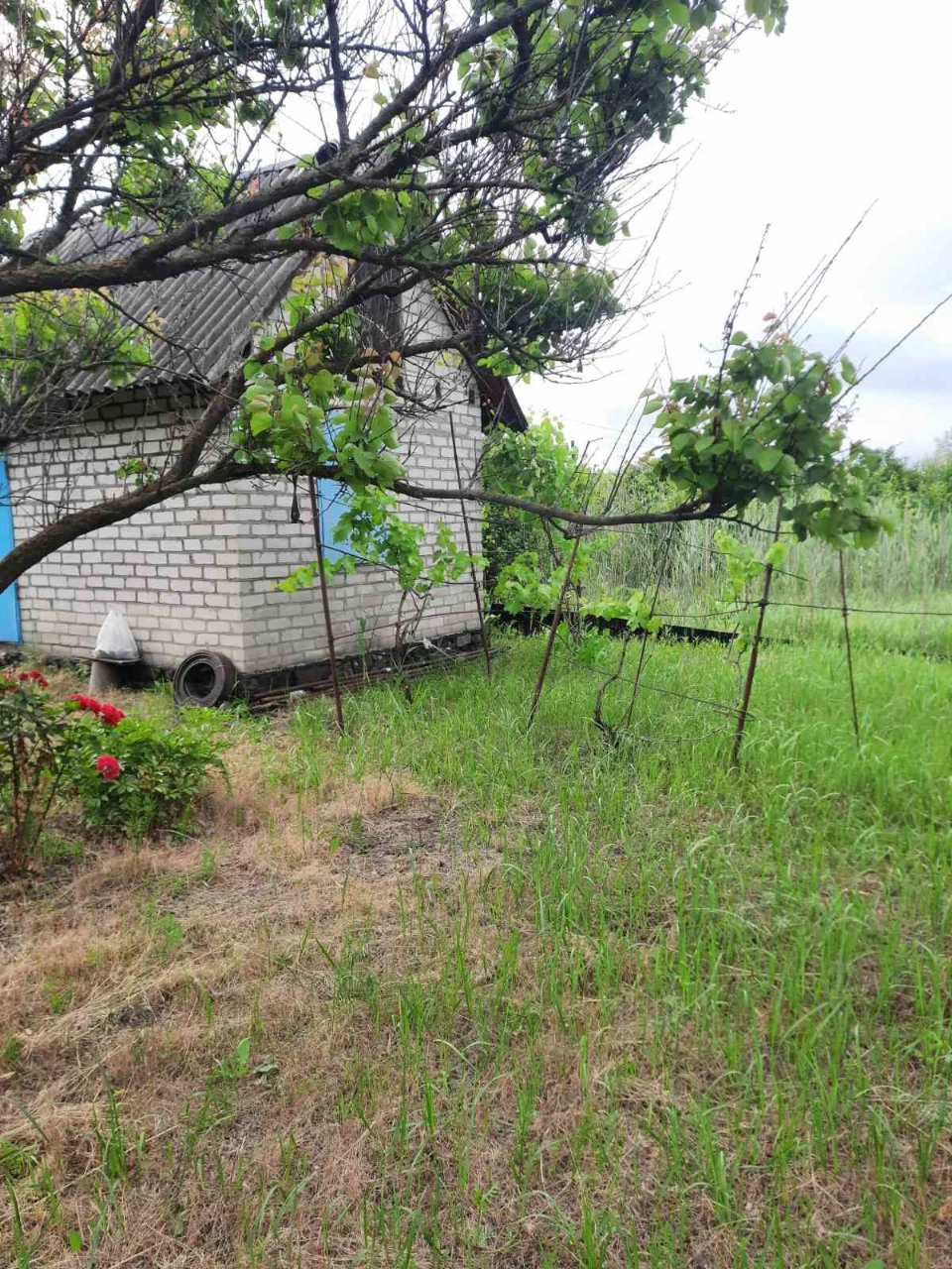 Продам дачу 30 соток