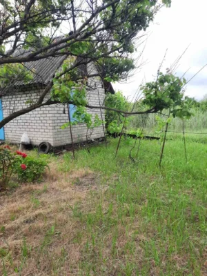 Продам дачу 30 соток