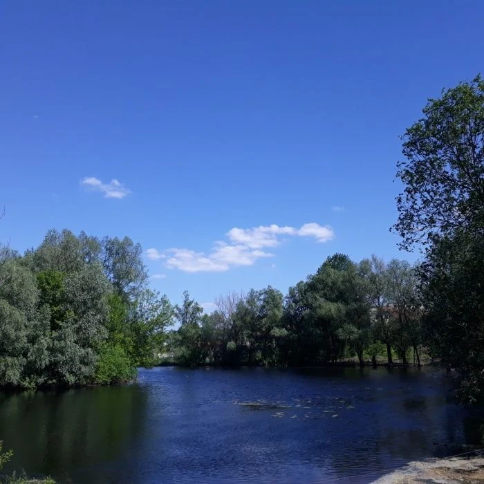 Продам приватизовану земельну ділянку 12соток !!