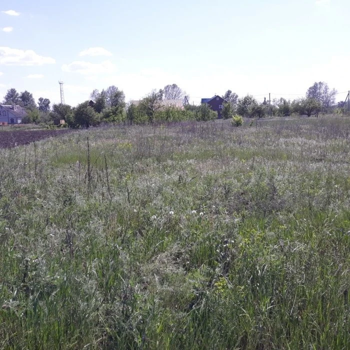 Продам приватизовану земельну ділянку 12соток !!