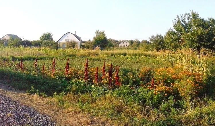 Участок под застройку в Миргороде!