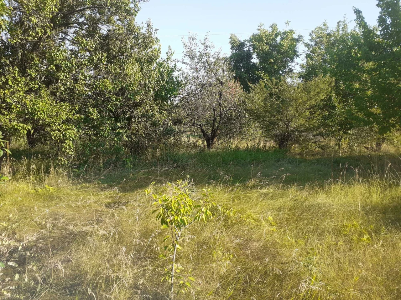 Земельна ділянка (дача) Миргород