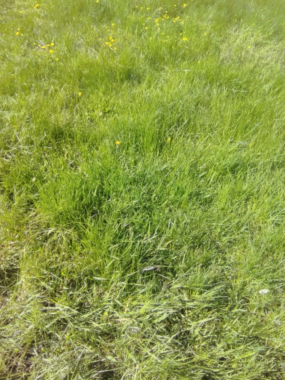 Продам земельну ділянку