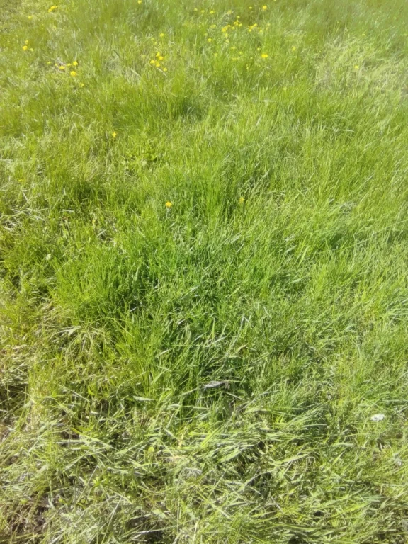 Продам земельну ділянку