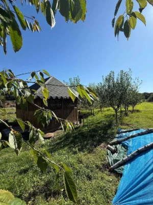 Продаж земельної ділянки з будинком|с.Соснівка|Рівненська об
