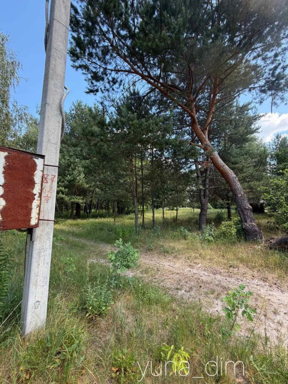 Ділянка під будівництво в сосновому лісі|Бірки, 10 км від Ду
