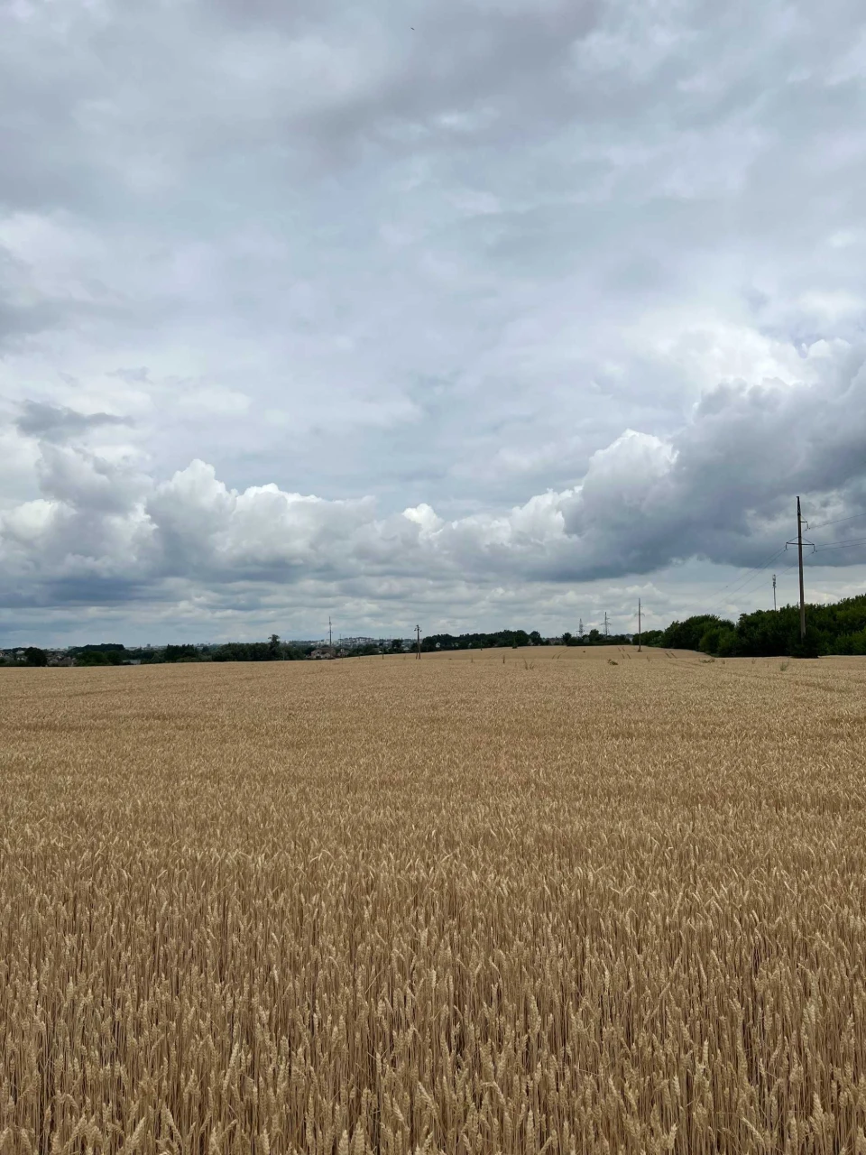 Продаж ділянки під комерцію в Здолбунові