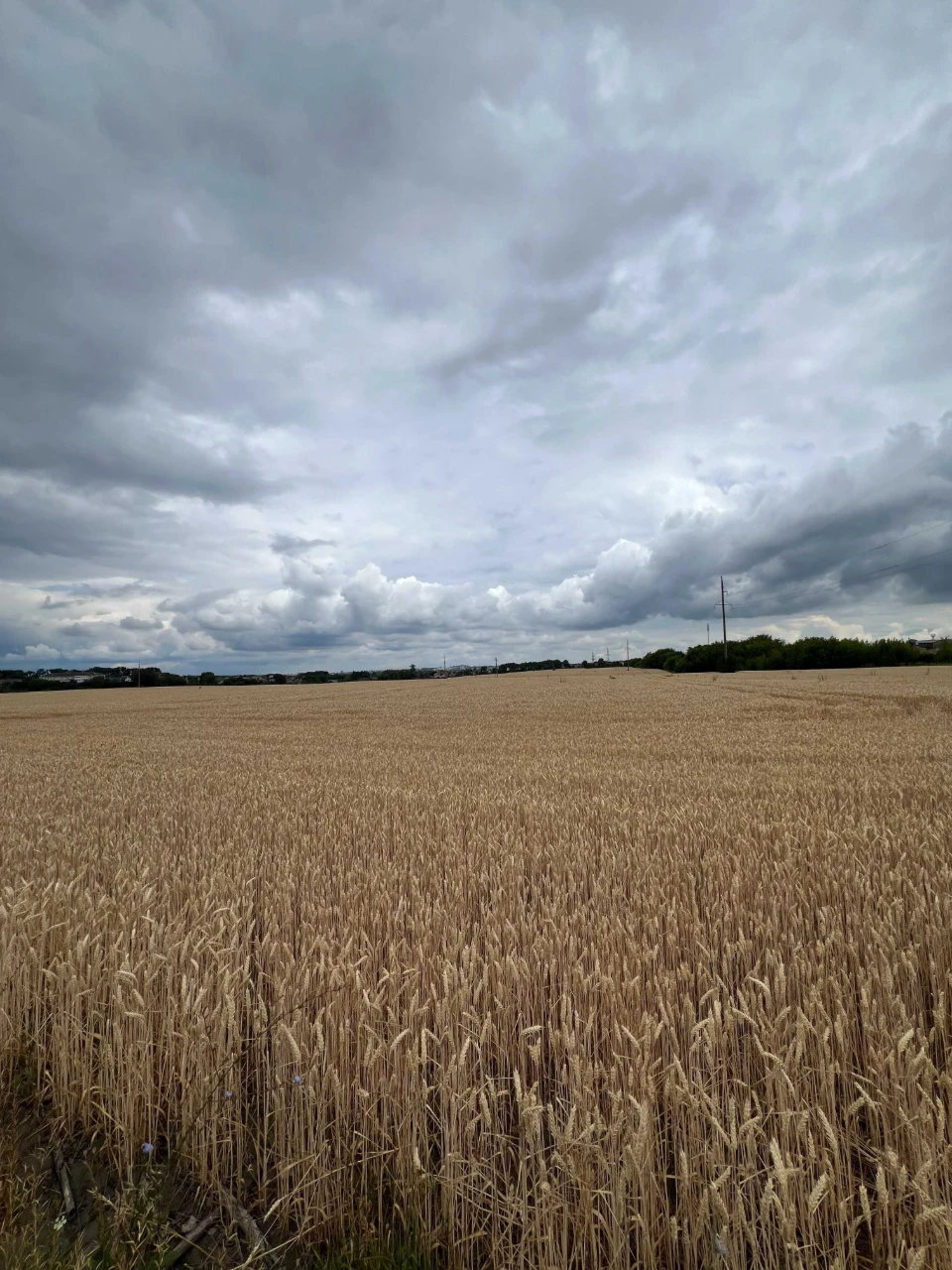 Продаж ділянки під комерцію в Здолбунові