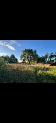 Будинок Земельна Ділянка