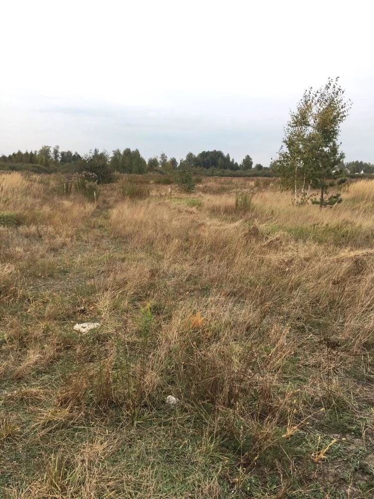 Продам земельну ділянку