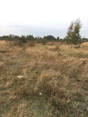 Продам земельну ділянку
