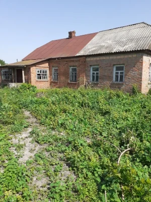 Земельный участок, Дом