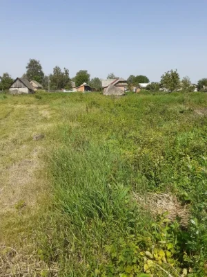 Земельный участок, Дом
