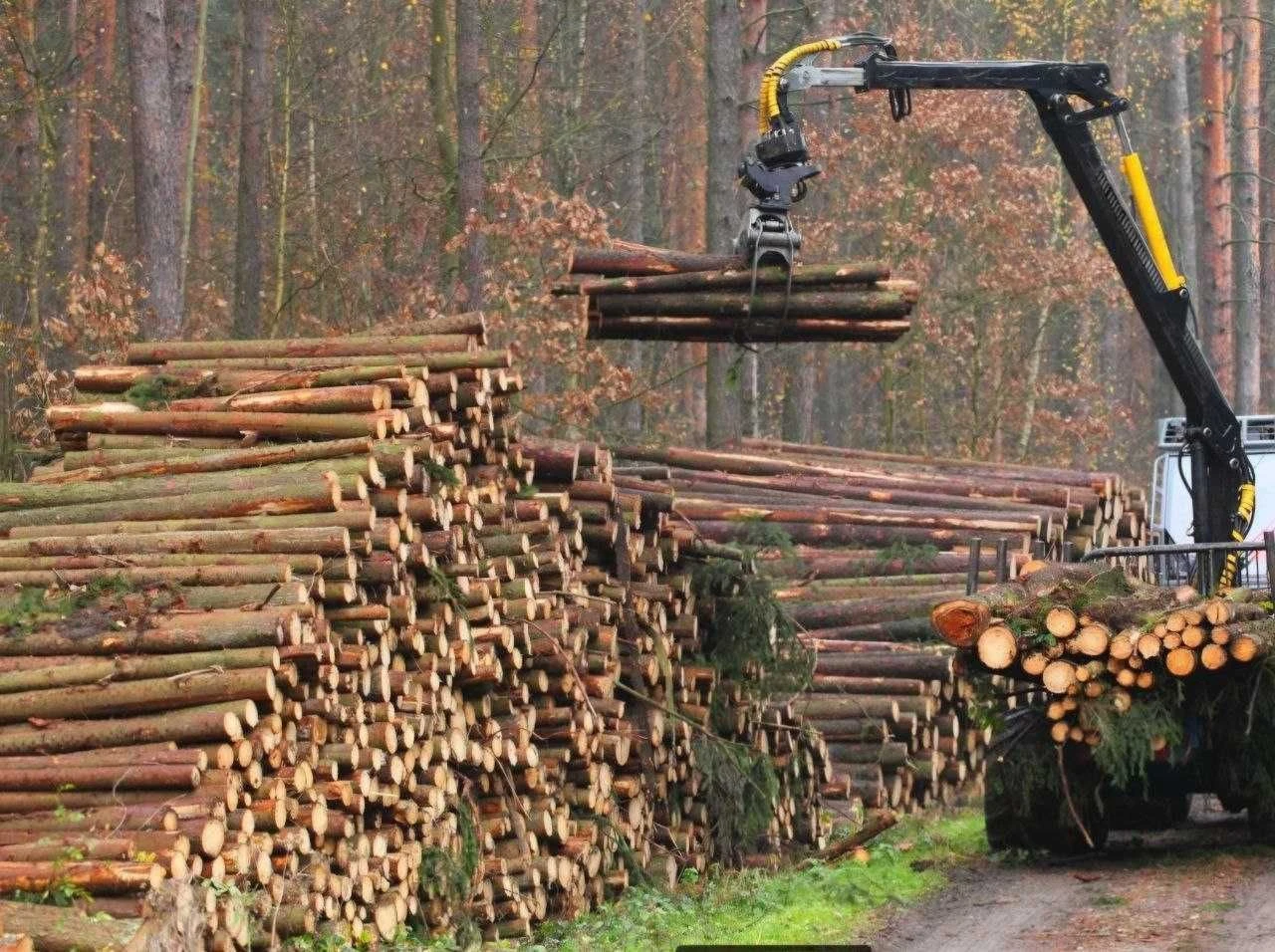 Продам земельный участок, можно отдельно лес под вырубку, де