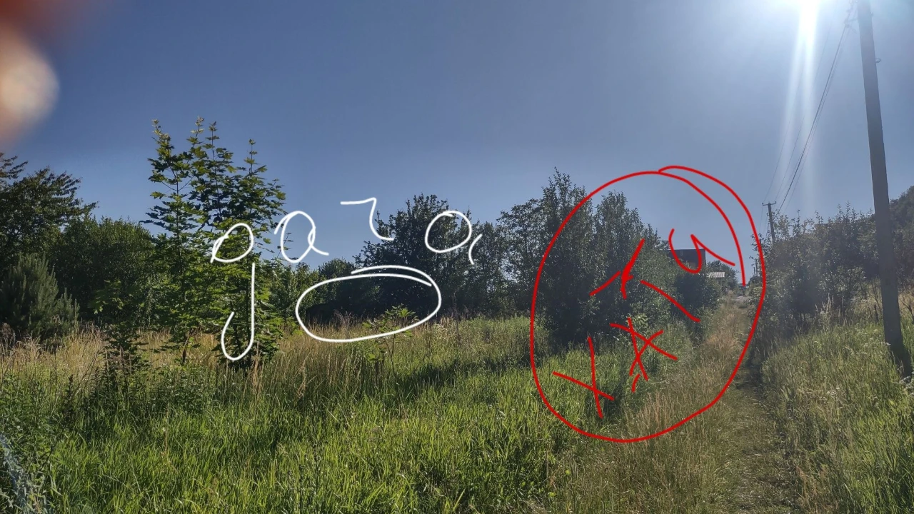Земельна ділянка м.Бережани(Лісники)