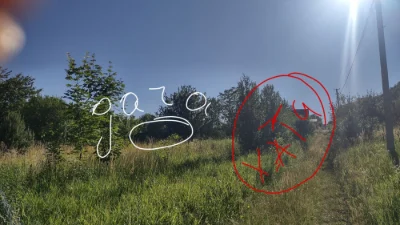Земельна ділянка м.Бережани(Лісники)