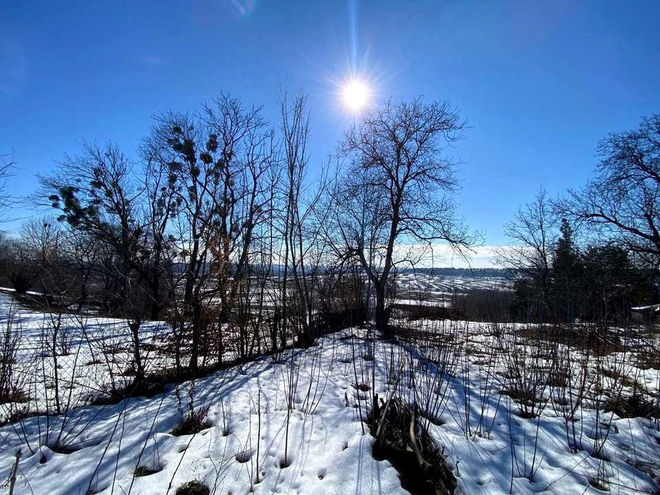 Ділянка. Кременець, Корнії вул.