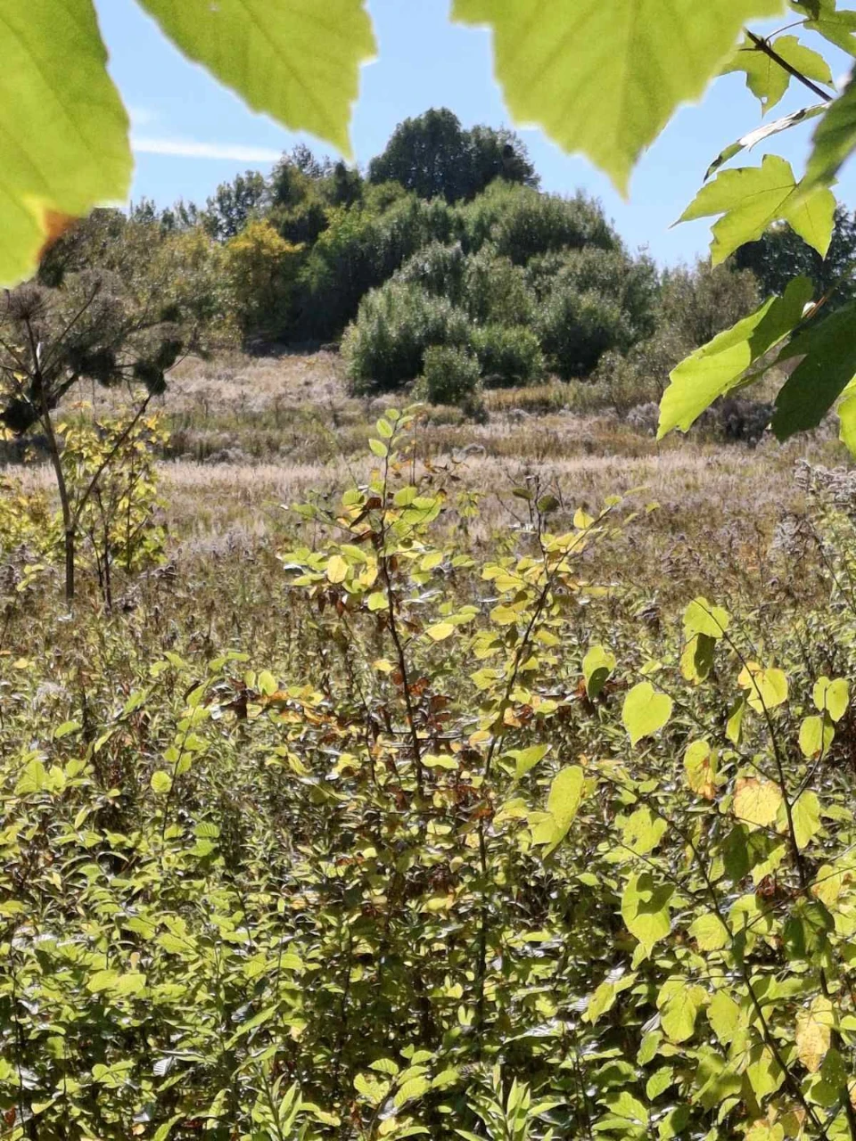 🌿 Продаж земельної ділянки | м. Кременець