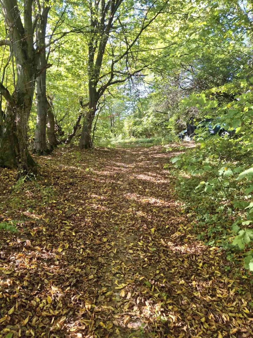 🌿 Продаж земельної ділянки | м. Кременець