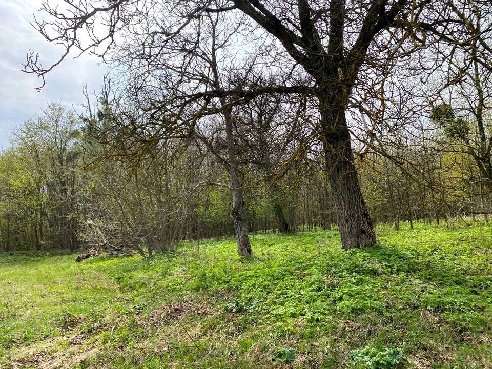 Ділянка. Кременець, Глінки вул.
