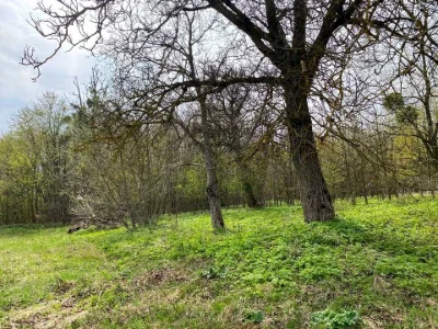 Ділянка. Кременець, Глінки вул.