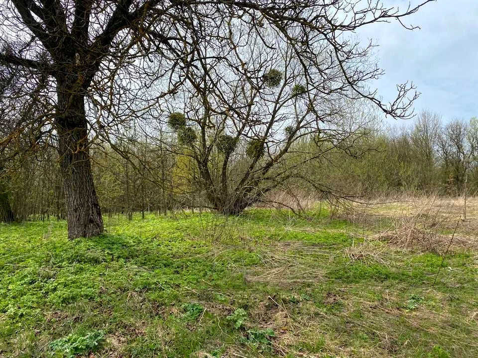 Ділянка. Кременець, Глінки вул.