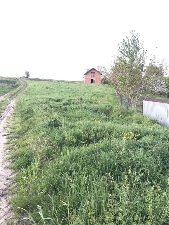 земельна ділянка