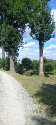 Продається земельна ділянка. Чортків