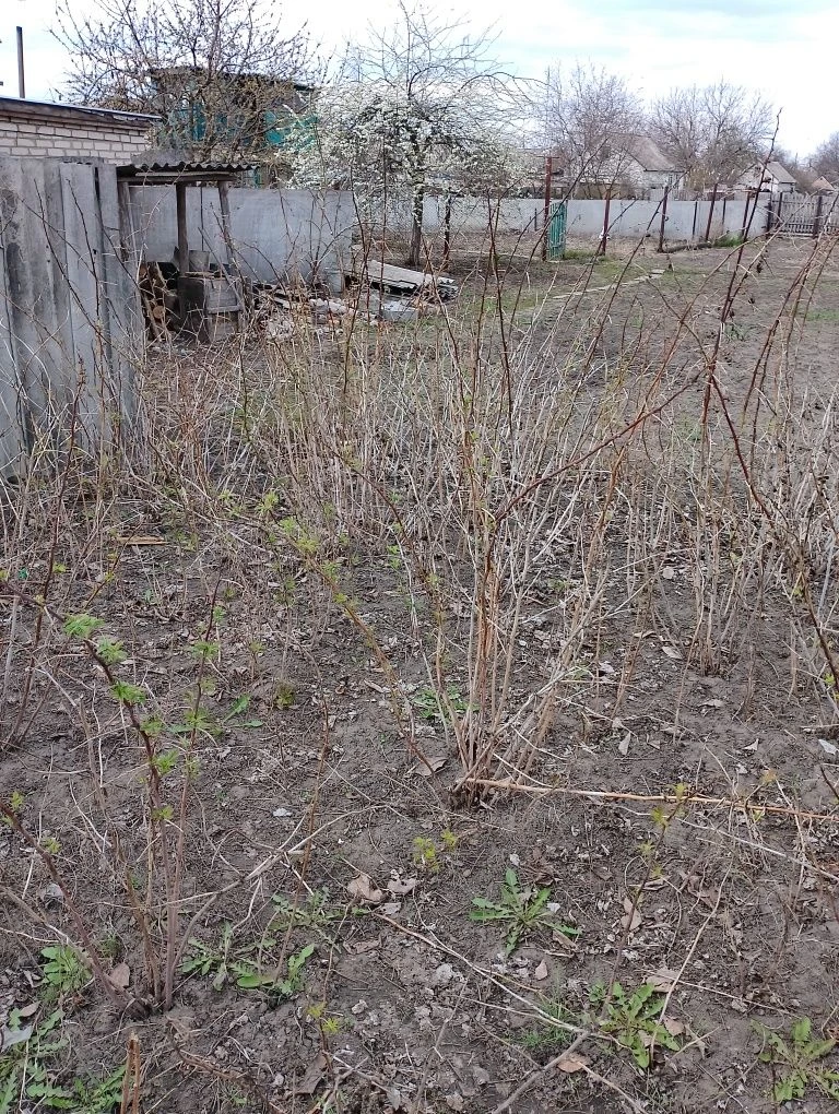 Продам участок в Балаклее (Лагеря).Возможен обмен на автомоб